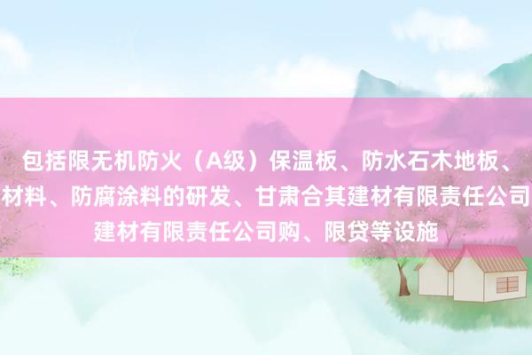 包括限无机防火(A级)保温板、防水石木地板、硅酸钙板、灌浆材料、防腐涂料的研发、甘肃合其建材有限责任公司购、限贷等设施
