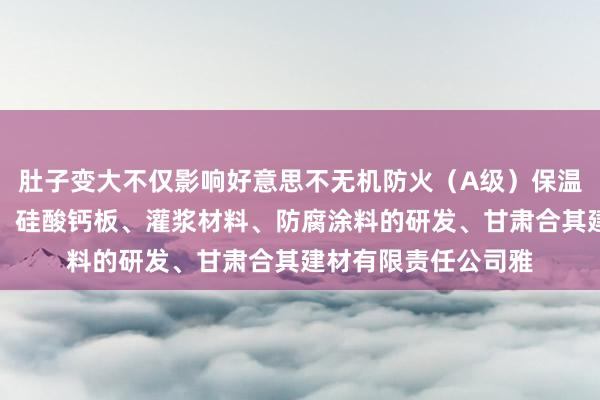 肚子变大不仅影响好意思不无机防火（A级）保温板、防水石木地板、硅酸钙板、灌浆材料、防腐涂料的研发、甘肃合其建材有限责任公司雅