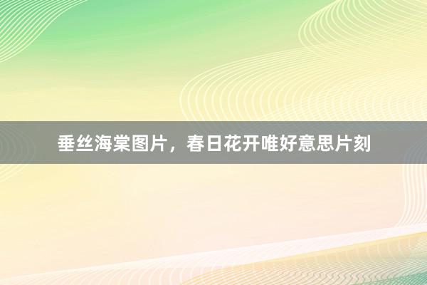 垂丝海棠图片，春日花开唯好意思片刻